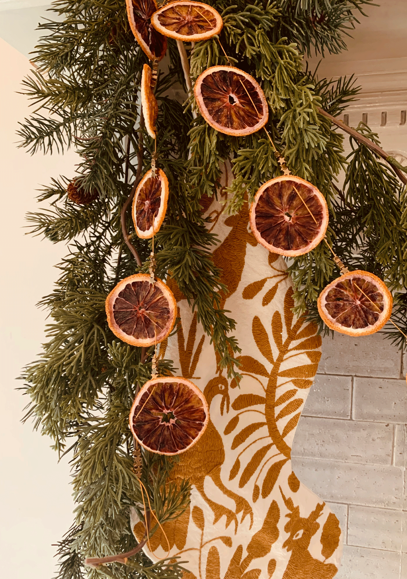 Citrus Holiday Garland